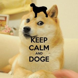 Meet your Posher, Cassius